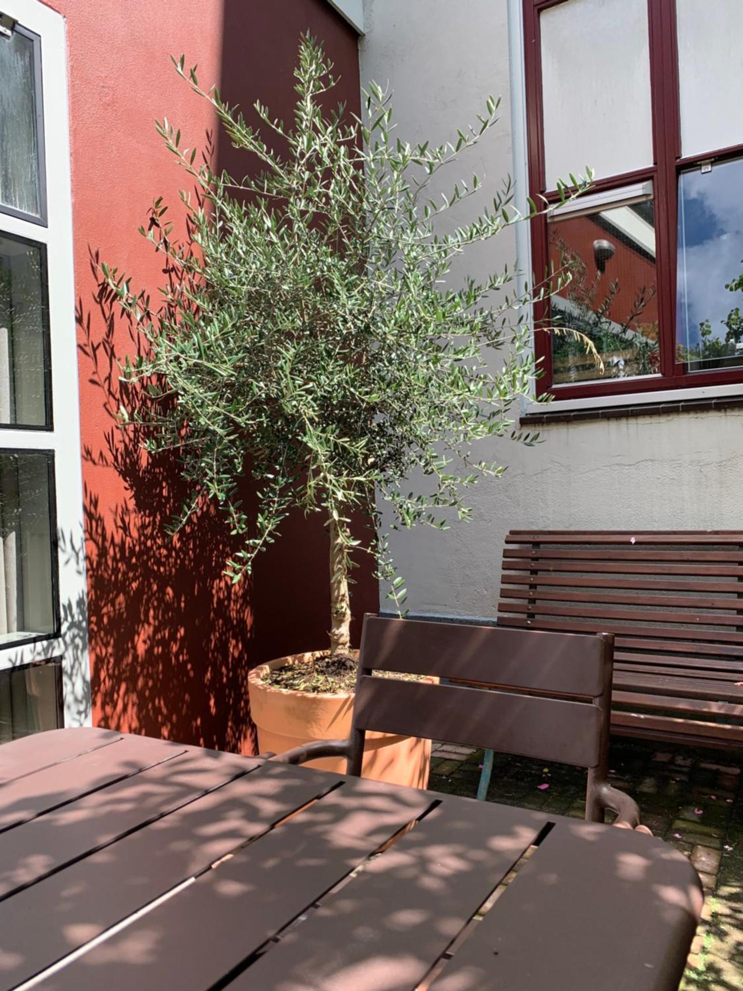 Zocher6 Bnb A Monumental Town House In The City Center Utrecht Buitenkant foto